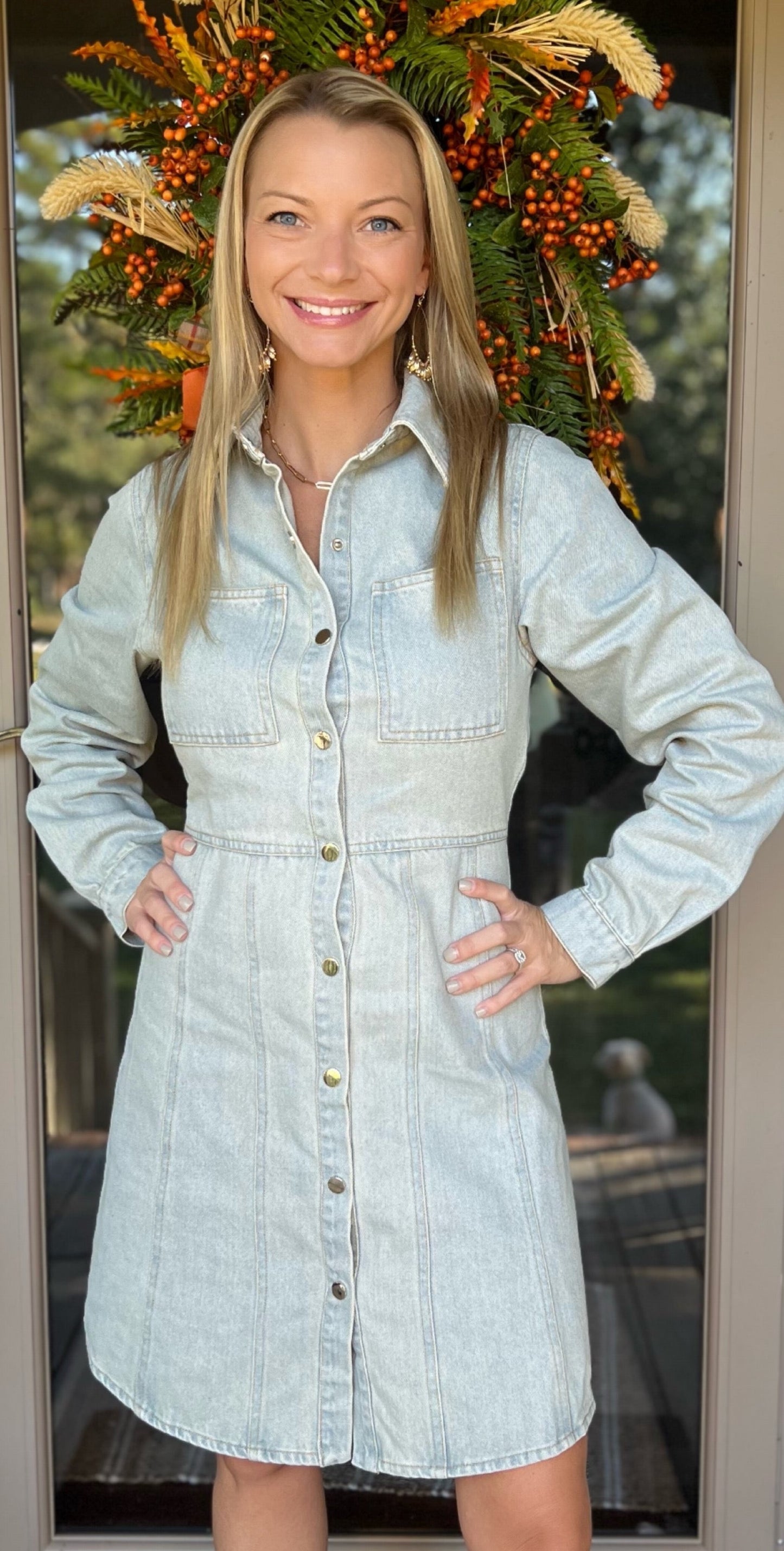 Little Darling Denim Dress